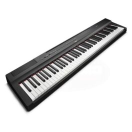 PIANO DIGITAL P-125