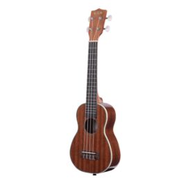 UKELELE SOPRANO CONCERT